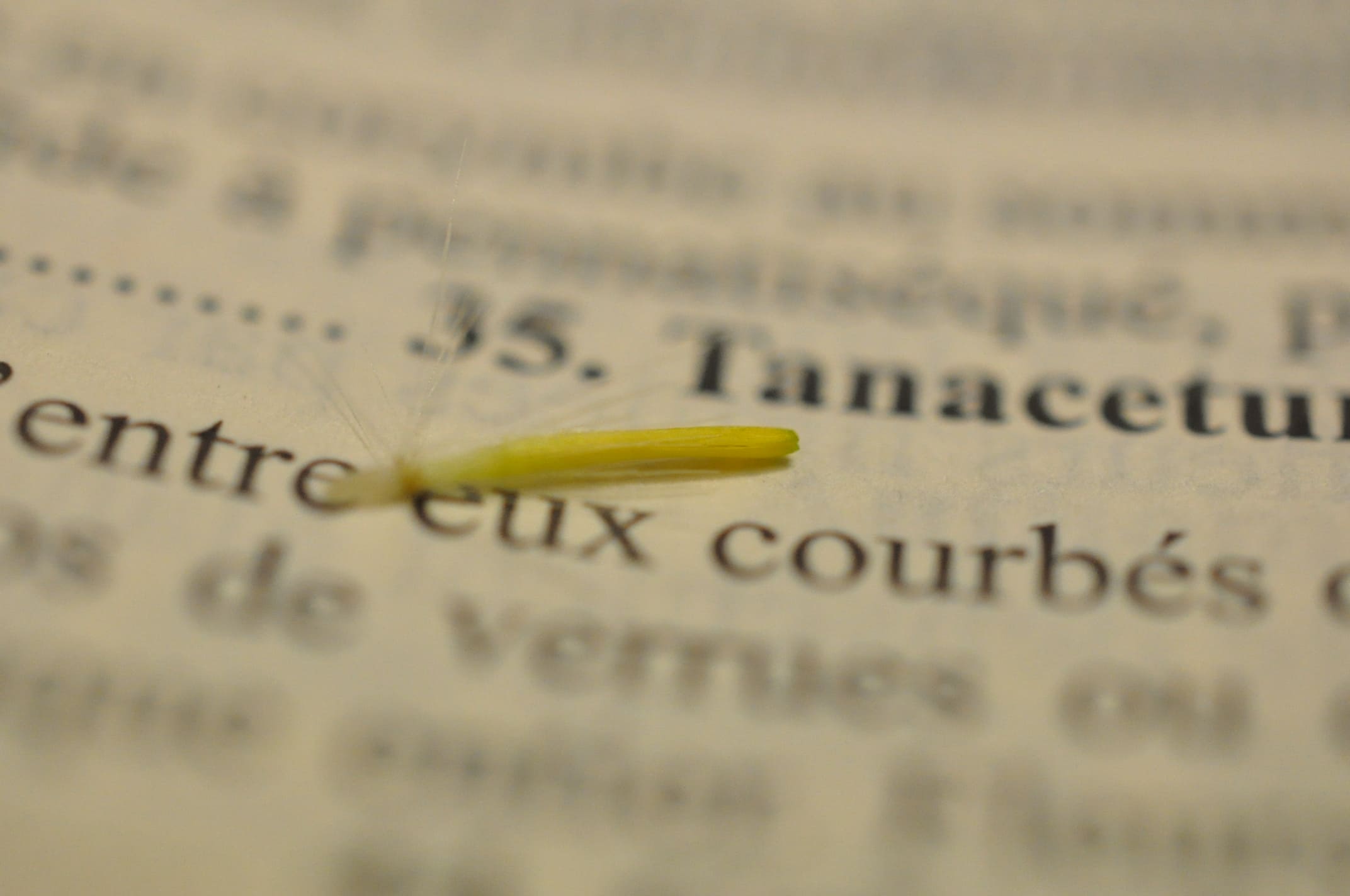 Inventaire botanique
